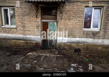 Gornyak, Ucraina. 09th Feb 2022. Il cane di famiglia Mazur fuori dall'appartamento il 9 febbraio 2022. Igor ed Eugenia Mazur, genitori di 5 bambini di età inferiore ai 8 anni, vivono a circa 10 miglia dalle linee di Donetsk a Gornyak, Ucraina. La famiglia lotta per trovare abbastanza lavoro per cibo e bollette e rimane preoccupata quando le forze militari russe si mobilitano sul confine ucraino. (Foto di Michael Nigro/Sipa USA) Credit: Sipa USA/Alamy Live News Foto Stock