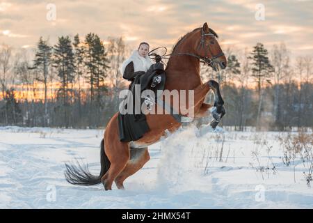 Una ragazza in un mantello bianco corre un cavallo marrone in inverno. Ora d'oro, sole tramontato. Il cavallo si alza. Foto Stock
