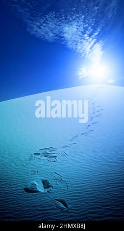 Impronte nel deserto White Sands New Mexico USA. 3D rendering Foto Stock