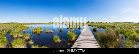 Lago di palude al panorama di High Fens (Hautes Fagnes) Foto Stock