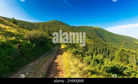 sentiero in salita verso le montagne. bellissimo paesaggio carpaziano in una mattinata estiva. caldo sole con cielo blu quasi nuvoloso. viaggiare in campagna Foto Stock