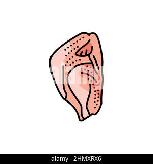 Icona della linea di colore della carcassa di tacchino. Taglio di carne. Pittogramma per pagina web, app mobile, promo. Illustrazione Vettoriale