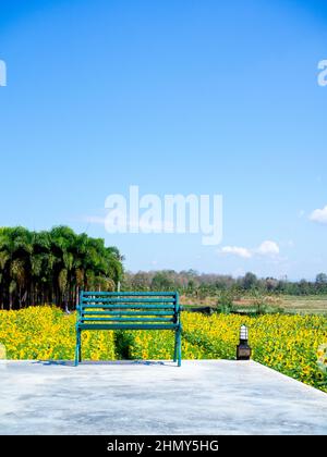 Panca verde vuota in ferro battuto sul pavimento in cemento di fronte al bellissimo campo di girasole. Sedia all'aperto d'epoca, il sedile verde sul paesaggio vie Foto Stock