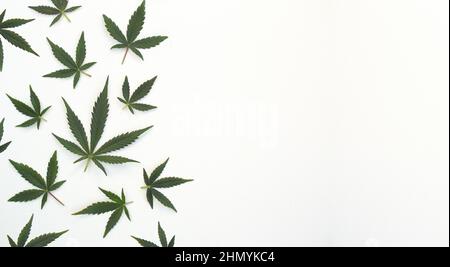 Foglie di cannabis verde su sfondo tessile bianco. Foglie di marijuana disposte secondo un modello sul lato destro con spazio per il testo. Vista dall'alto Foto Stock