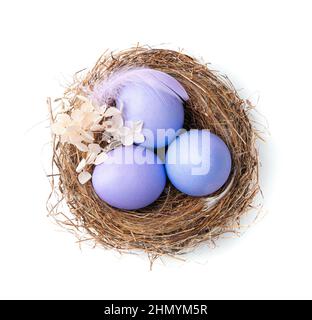 Tre uova viola in un nido con una piuma e fiori isolati su uno sfondo bianco. Vista dall'alto. Il concetto di Pasqua. Foto Stock