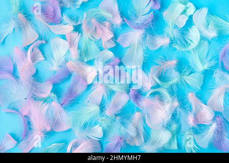 Delicate piume pastello di colori diversi su sfondo blu. Vista dall'alto. Sfondo astratto. Foto Stock