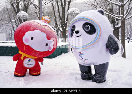 La mascotte olimpica di Pechino Bing DWEN DWEN, Right, e la mascotte Para-olimpica Shuey Rhon Rhon giocano nella neve durante una nevicata pesante alle Olimpiadi invernali di Pechino 2022 domenica 13 febbraio 2022. Foto di Richard Ellis/UPI Foto Stock