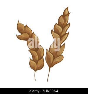 Spighe di grano o di riso. Simboli delle guglie di grano agricolo isolati su sfondo bianco in stile cartone animato. Vettore di spikelets di grano. Illustrazione Vettoriale