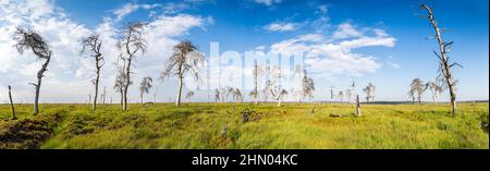 Vista panoramica del Noir Flohay Foto Stock