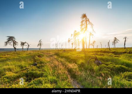 Noir Flohay al tramonto Foto Stock