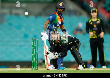 Sydney, Australia. 13th Feb 2022. Matthew Wade of Australia si tiene durante la partita internazionale T20 tra Australia e Sri Lanka al Sydney Cricket Ground, Sydney, Australia, il 13 febbraio 2022. Foto di Peter Dovgan. Solo per uso editoriale, licenza richiesta per uso commerciale. Nessun utilizzo nelle scommesse, nei giochi o nelle pubblicazioni di un singolo club/campionato/giocatore. Credit: UK Sports Pics Ltd/Alamy Live News Foto Stock