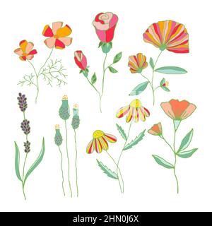 Set vettoriale di fiori colorati disegnati a mano in fiore. Collezione di fiori carini isolati su sfondo bianco. Illustrazione Vettoriale