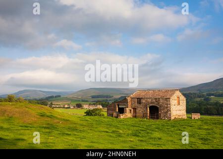 Un tipico fienile in pietra Yorkshire Dales, prati e colline vicino Hawes a Wensleydale Foto Stock