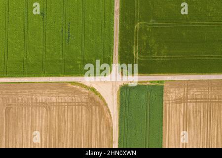 Astratte forme geometriche di pacchi agricoli di diverse colture in colori giallo e verde. Ripresa aerea dal drone direttamente sopra il campo Foto Stock