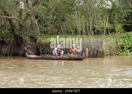 I pescatori vietnamiti tendono le loro reti sul fiume Mekong, Delta del Mekong, Provincia di Vinh Long, Vietnam meridionale, Asia sudorientale Foto Stock