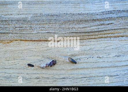 Stenbjerg, Danimarca. 30th Jan 2022. Diversi strati di sabbia di una duna nel Parco Nazionale Thy sulla costa del Mare del Nord. Sulla costa occidentale dello Jutland, tra il faro di Hanstholm e l'Agger Tange, è il primo e più grande parco nazionale della Danimarca con un totale di 244 chilometri quadrati di natura incontaminata e magnifica. Credit: Patrick Pleul/dpa-Zentralbild/ZB/dpa/Alamy Live News Foto Stock