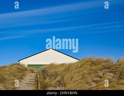 Stenbjerg, Danimarca. 30th Jan 2022. Vista sul paesaggio delle dune nel tuo Parco Nazionale sulla costa del Mare del Nord. Sulla costa occidentale dello Jutland, tra il faro di Hanstholm e l'Agger Tange, è il primo e più grande parco nazionale della Danimarca con un totale di 244 chilometri quadrati di natura incontaminata e magnifica. Credit: Patrick Pleul/dpa-Zentralbild/ZB/dpa/Alamy Live News Foto Stock