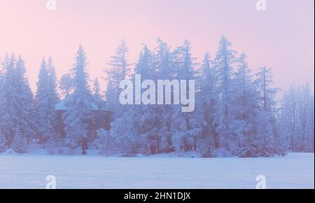 Casa nascondendosi tra alberi di abete nella neve, bella scena invernale all'aperto. Coste di Strbske pleso in alti Tatra, popolare destinazione di viaggio in Slovacchia Foto Stock