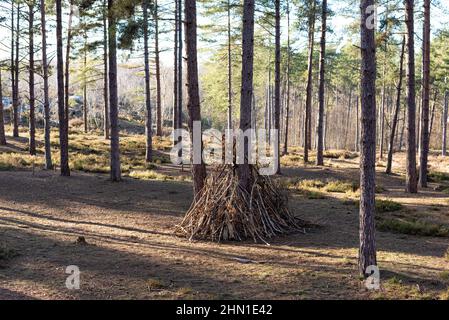 Semplice baracca di legno fatta di rami in autunno al tramonto. Foto Stock