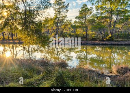 Vista panoramica dal Parco Nazionale di Divjaka - Karavasta in Albania. Foto Stock