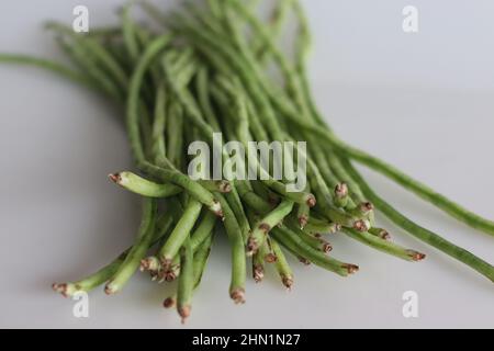 Mazzo di fagioli lunghi. È anche noto come il lungo cowpea podded, il fagiolo di asparagi, il fagiolo di serpente o il fagiolo lungo cinese. Scatto su sfondo bianco Foto Stock