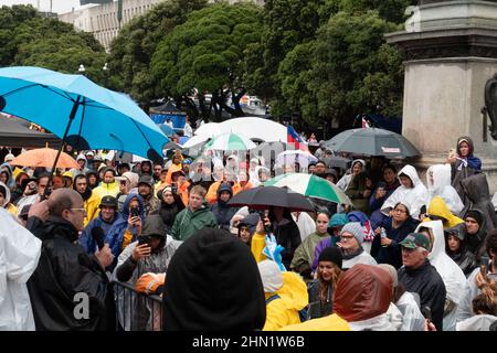 La protesta del mandato vaccinale di Covid fuori dal parlamento a Wellington, Nuova Zelanda, 13 febbraio 2022 Foto Stock