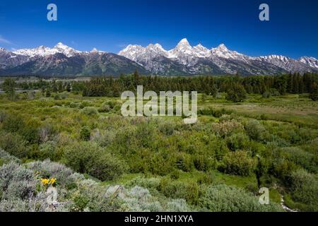 La gamma Grand Teton va dal Glacier View Turnout, Grand Teton NP, Wyoming, USA Foto Stock