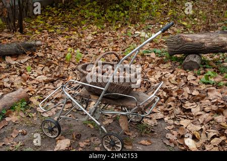 carrello da giardino con cestino di noci in giardino in autunno Foto Stock