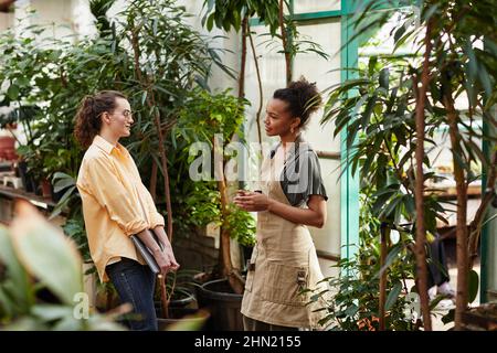 Giovane manager fiducioso di negozio floreale o orangerie parlare con lavoratrice femminile o fiorista in grembiule e t-shirt tra piante simili ad albero Foto Stock