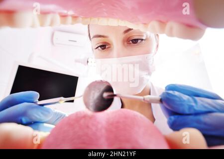 una giovane dentista femminile esamina i denti del paziente. Vista dall'interno della ganascia. Foto Stock