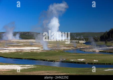Vapore che sale da geyser e sorgenti termali, la mattina presto accanto al fiume Firehole, Midway Basin, Yellowstone NP, Wyoming, USA Foto Stock