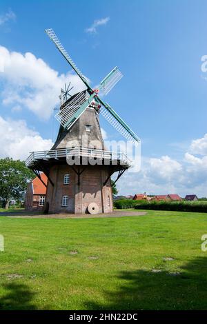 Il mulino di Nenndorf nella Frisia orientale è stato costruito nel 1850. La galleria Dutchman bruciò nel 1872 e fu ricostruita su due piani. Foto Stock