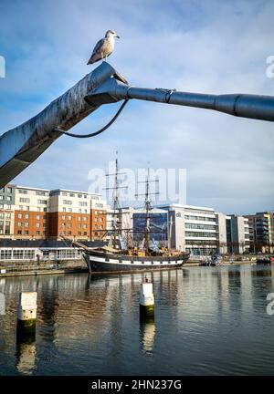 Un gabbiano poggia su un supporto sul Sean o'Casey Bridge sul fiume Liffey a Dublino, in Irlanda, accanto al molo della casa personalizzata Jeanie Johnston Shipon. Foto Stock