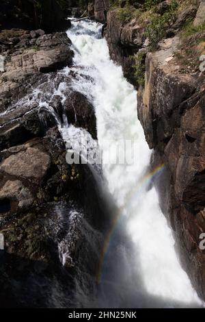 Cascate di Lake Creek, Beartooth Highway, Shoshone National Park, Montana, cascate, rapide, acque selvagge, Stati Uniti Foto Stock