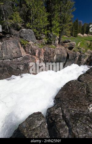 Cascate di Lake Creek, Beartooth Highway, Shoshone National Park, Montana, cascate, rapide, acque selvagge, Stati Uniti Foto Stock