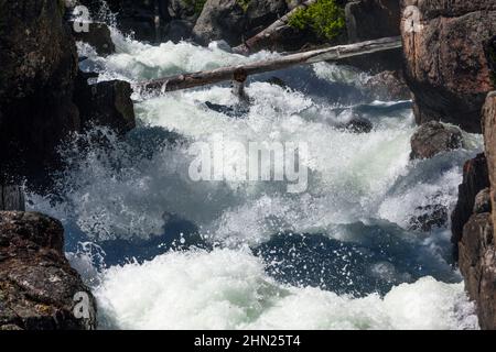 Cascate di Lake Creek, Beartooth Highway, Shoshone National Park, Montana, cascate, rapide, acque selvagge, Stati Uniti Foto Stock