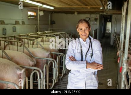 Veterinario piuttosto giovane in cappotto bianco con stetoscopio in piedi con le braccia incrociate di fronte ai suini in stalla Foto Stock