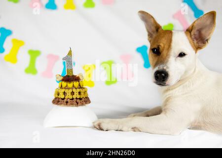 Una torta bianca decorata con una faccia del cane Foto stock - Alamy