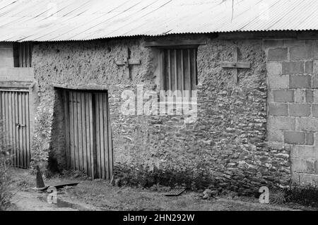 Vecchio edificio di fattoria in pietra e pannocciolo rinforzato con lavori di blocco - vicino Winkleigh, Devon, Regno Unito Foto Stock