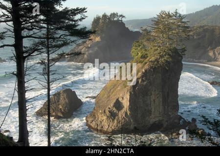 Sea Stacks, Samuel H. Boardman state Scenic Corridor, Oregon Foto Stock