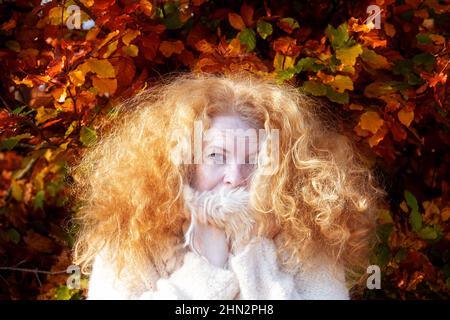 felice rosso-capelli matura donna zenzero rosso testa, nei suoi migliori anni con capelli molto ricci si alza di fronte a cespugli autunnali colorati, strappando nella sua pelliccia Foto Stock