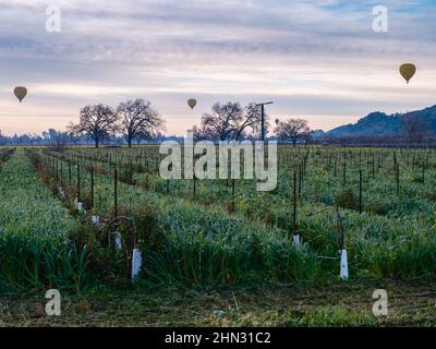 Viaggio in mongolfiera di prima mattina attraverso Napa Valley, California Foto Stock