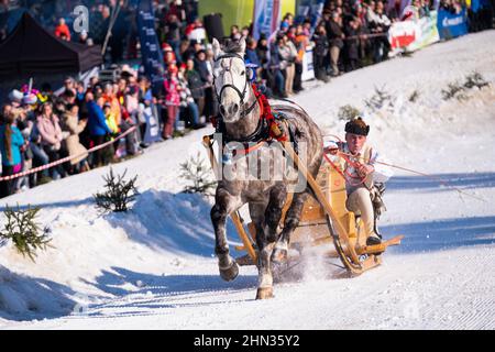 Bukowina Tatrzanska, Polonia. 13th Feb 2022. Gli Highlander sono visti durante la gara. Ogni anno, le corse di slitta sono organizzate nei Tatra, tradizionalmente chiamati 'kumoterki'. Credit: SOPA Images Limited/Alamy Live News Foto Stock