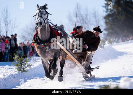 Bukowina Tatrzanska, Polonia. 13th Feb 2022. Gli Highlander sono visti durante la gara. Ogni anno, le corse di slitta sono organizzate nei Tatra, tradizionalmente chiamati 'kumoterki'. Credit: SOPA Images Limited/Alamy Live News Foto Stock