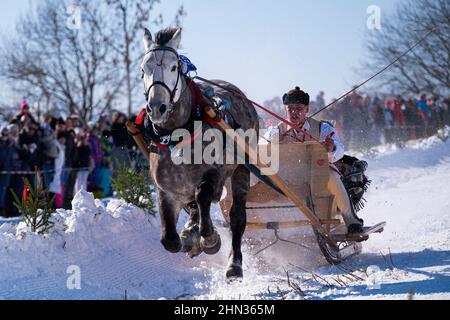 Bukowina Tatrzanska, Polonia. 13th Feb 2022. Gli Highlander sono visti durante la gara. Ogni anno, le corse di slitta sono organizzate nei Tatra, tradizionalmente chiamati 'kumoterki'. (Foto di Wojciech Grabowski/SOPA Images/Sipa USA) Credit: Sipa USA/Alamy Live News Foto Stock