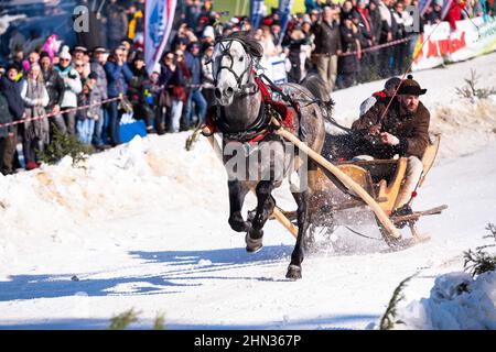 Bukowina Tatrzanska, Polonia. 13th Feb 2022. Gli Highlander sono visti durante la gara. Ogni anno, le corse di slitta sono organizzate nei Tatra, tradizionalmente chiamati 'kumoterki'. (Foto di Wojciech Grabowski/SOPA Images/Sipa USA) Credit: Sipa USA/Alamy Live News Foto Stock