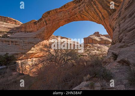 Vista mattutina attraverso un ponte naturale al Sipapu Bridge nel Natural Bridges National Monument nello Utah Foto Stock