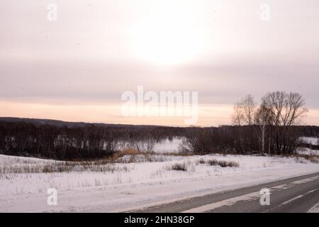 Una strada asfaltata che attraversa un campo innevato e il bordo di una foresta in inverno prima del tramonto. Novosibirsk regione, Siberia, Russia. Foto Stock