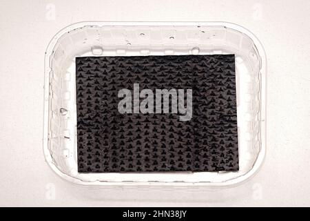 Vassoio di plastica vuoto utilizzato per mantenere freschi frutta e verdura Foto Stock
