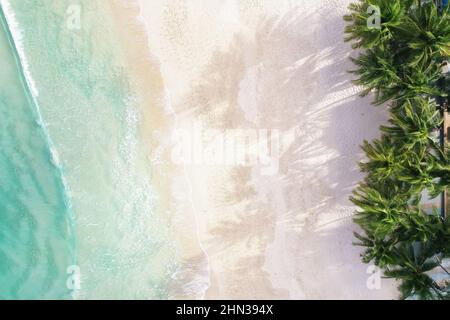 Vista aerea dall'alto bellissima spiaggia d'attualità con palme da cocco e mare di sabbia bianca. Vista dall'alto spiaggia vuota e pulita. Onde che si infrangono spiaggia vuota fr Foto Stock